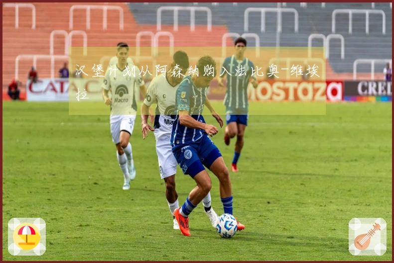 汉堡计划从阿森纳购入法比奥-维埃拉