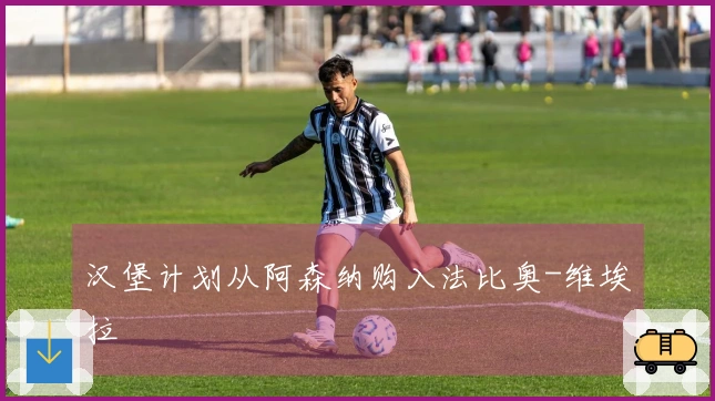 汉堡计划从阿森纳购入法比奥-维埃拉