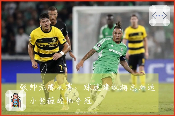 张帅无缘决赛，球迷建议梅总加速，小紫薇趁机夺冠