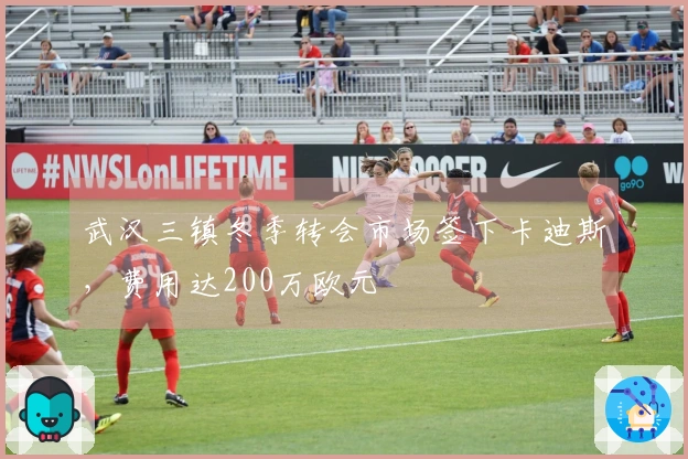 武汉三镇冬季转会市场签下卡迪斯,费用达200万欧元