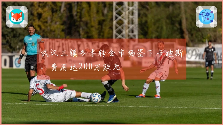 武汉三镇冬季转会市场签下卡迪斯，费用达200万欧元